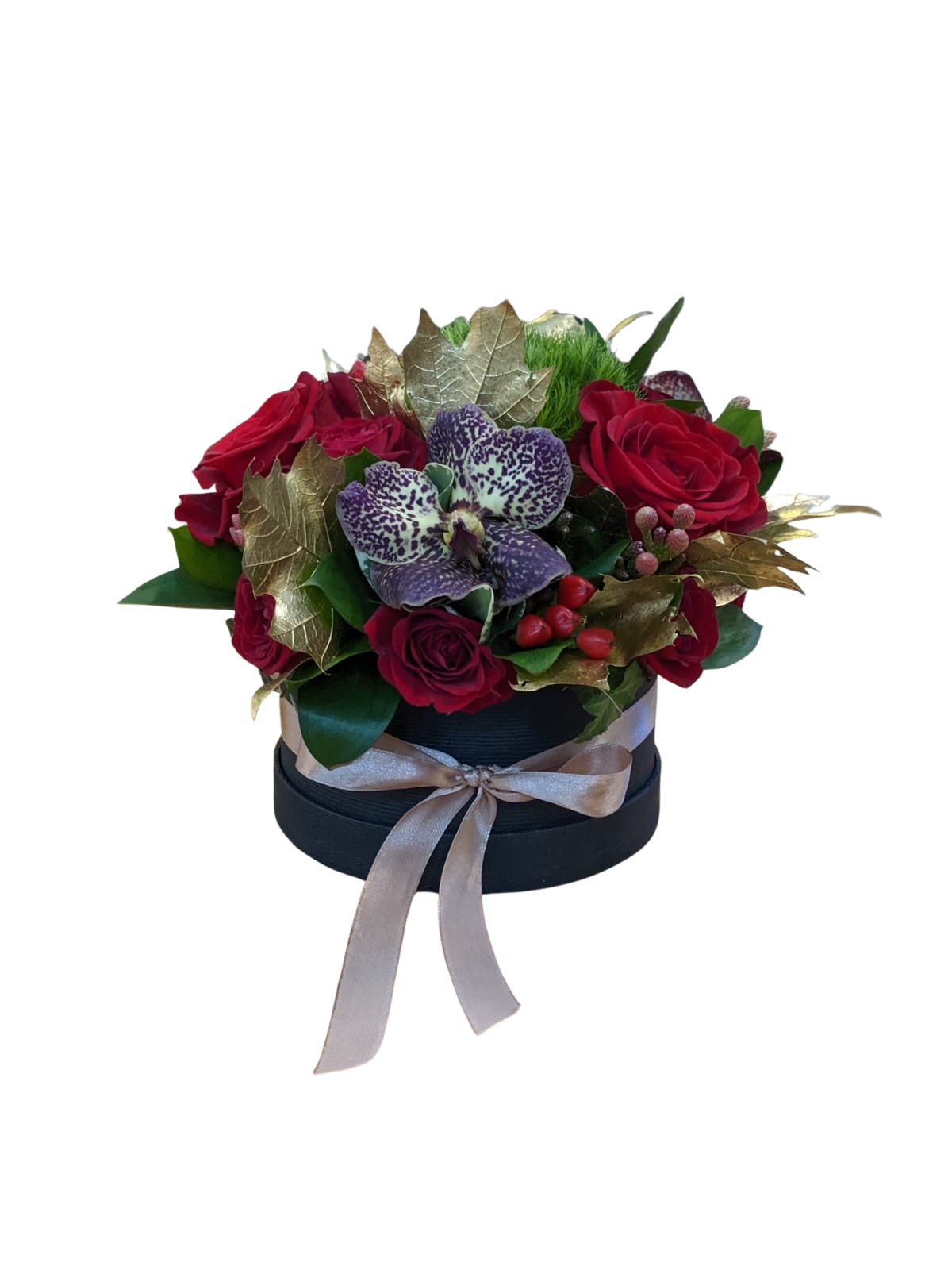 CUT 26 IARNA ELEGANTA - imagine 1