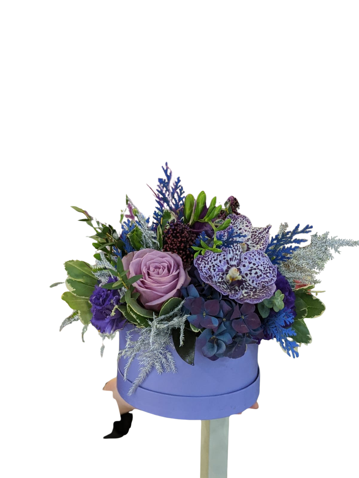 CUT 33 BUCURIE IN VIOLET - imagine 1