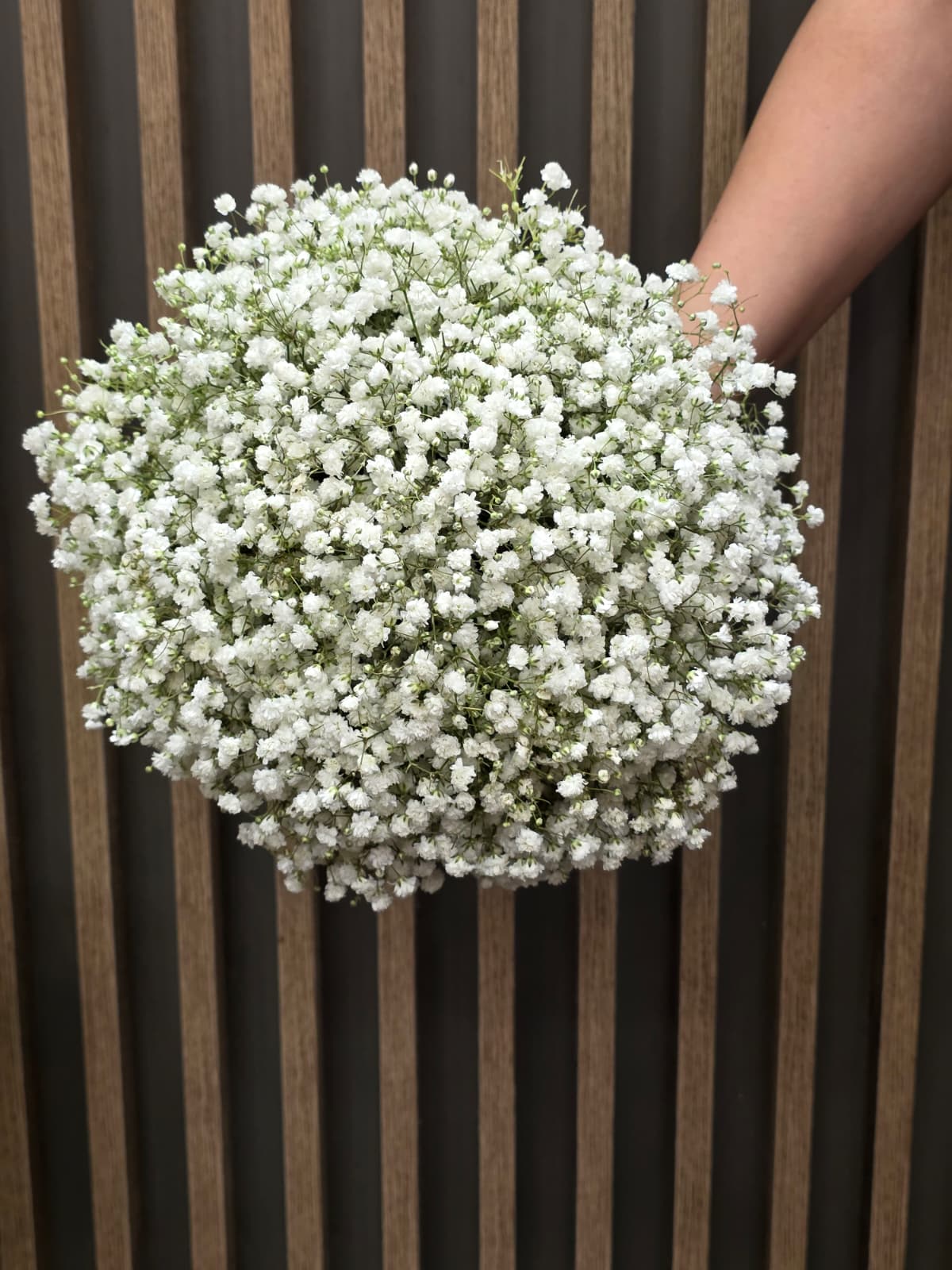 BUCHET GYPS BUCHET DE CUNUNIE BELGRAD - imagine 1